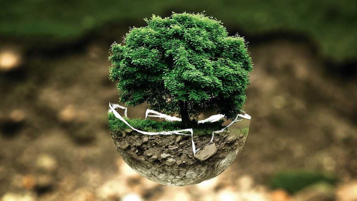 Ecology